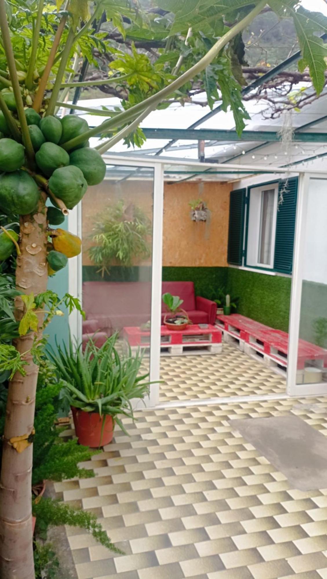 Kanela Guest House Machico  Kültér fotó