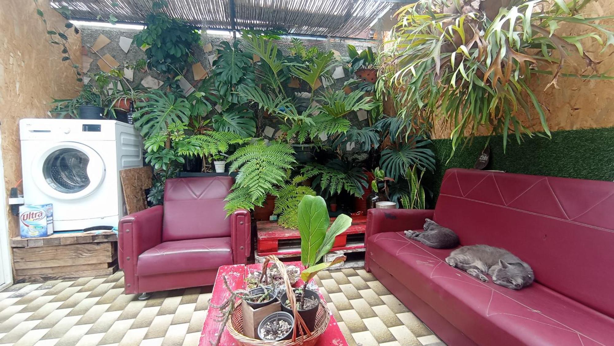 Kanela Guest House Machico  Kültér fotó